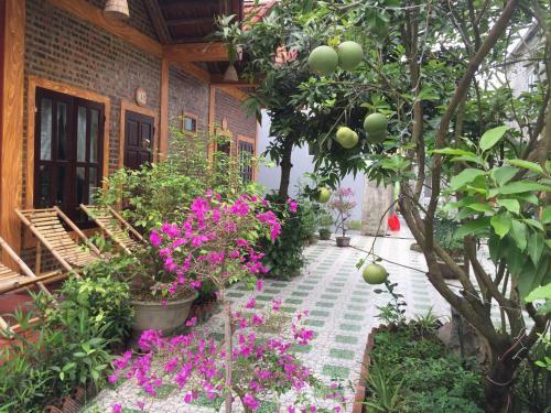 Hotel Tam Coc Vinh Thinh Homestay