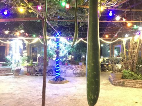 Hotel Tam Coc Vinh Thinh Homestay