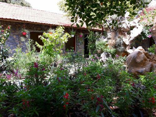 Mr. Viet Home Stay