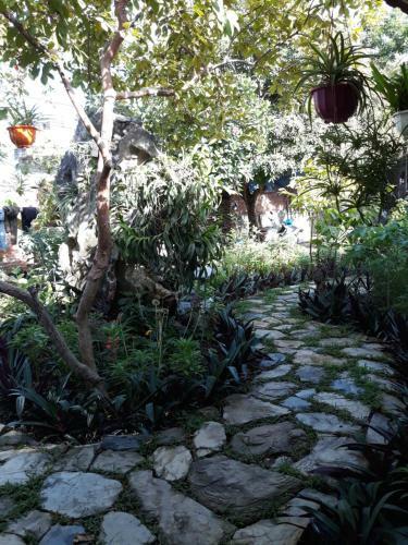 Mr. Viet Home Stay