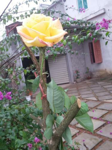 Hostal Duc Hung Guest House