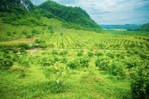 Ninh Binh Bungalow Homestay