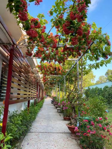 Hostal New Day Phu Quoc Guesthouse