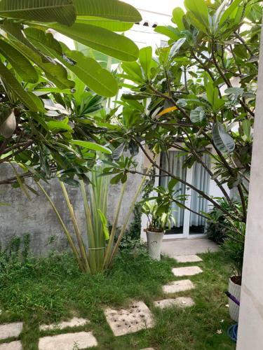 Hs Beach House Phu Quoc Island