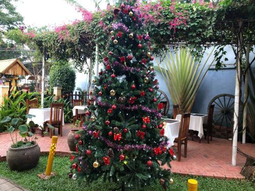 Tropical Garden Homestay