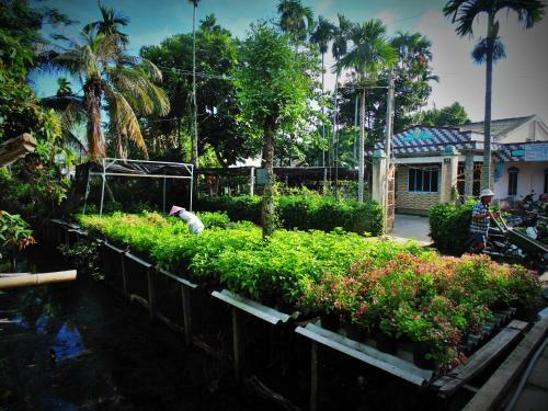 Flower & Frog Homestay