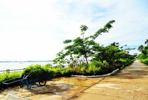 Flower & Frog Homestay