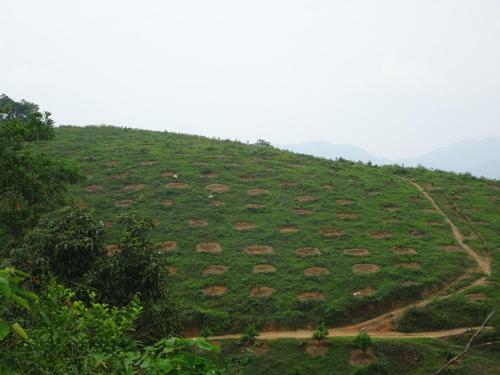 Thac Ba Family Homestay