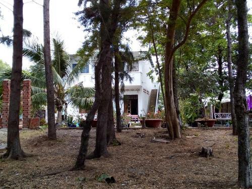 Hoang VI Homestay