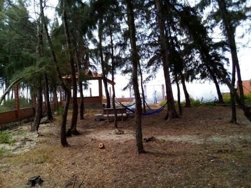 Hoang VI Homestay