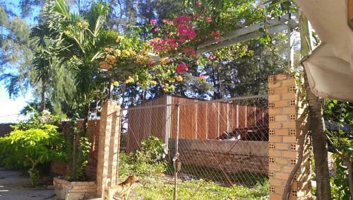 Hoang VI Homestay