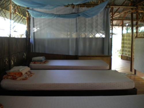 Ba Hung Homestay