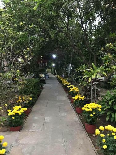 Nam Thanh Homestay