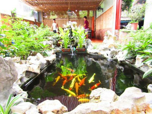 Ninh Binh Mountain Side Homestay & Cafe