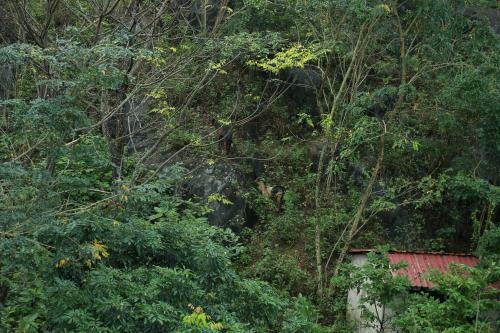 Gold Plus Homestay