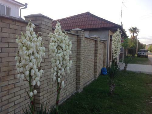 Hostal Guest House In Gudauta
