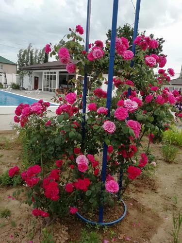 Serebryany Plyazh Hotel