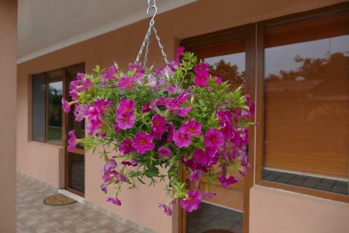 Hostal Anzor Guest House