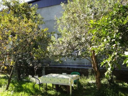 Apartamento Guest House Lakoba 32