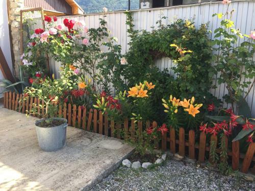 Hostal Guest House Gelios