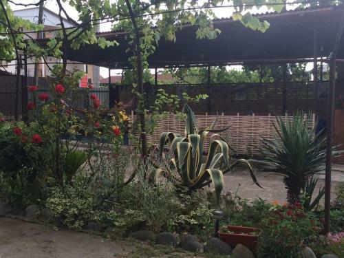 Bed & Breakfast Guesthouse Mira