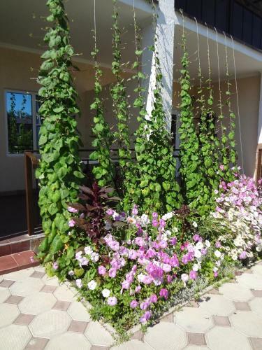 Hotel Solntse Abkhazii