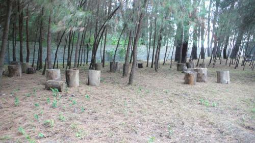 Posada Mini-hotel Forest Club