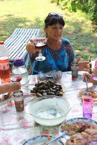 Hostal U Vili