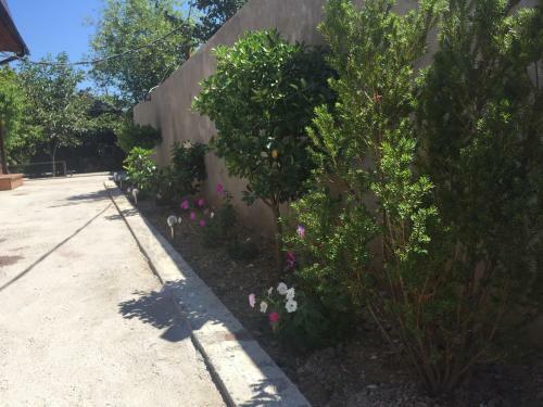Hostal Guest House Alamys
