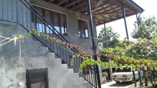 Hostal Guest House Zelenyi Dvorik