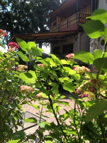 Apartamento Melnitsa Mini Hotel