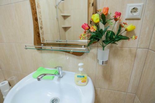 Hostal Fiesta Life