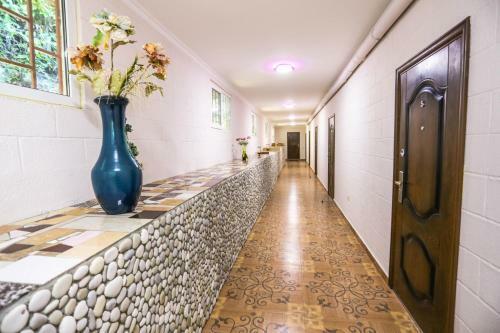 Hostal Fiesta Life