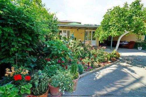 Mini Hotel Green House