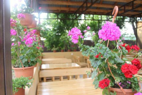Hostal Guest House Black Sea