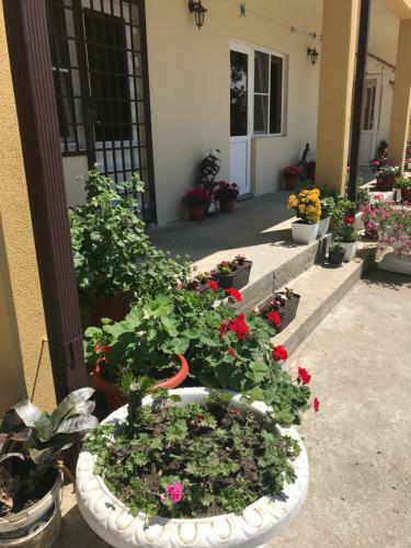 Hostal Guest House Black Sea