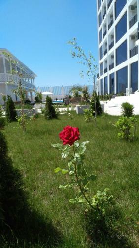 Hotel Paradise Beach