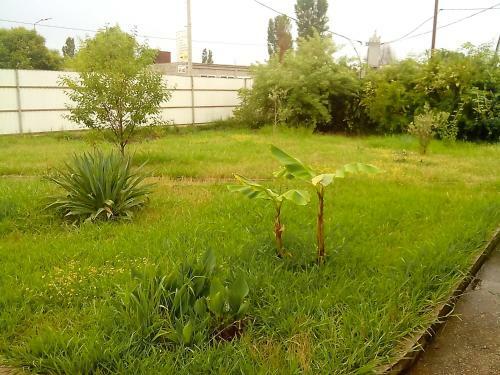 Hostal Guest House Petrovich