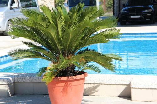 Hostal Guest House U Adama
