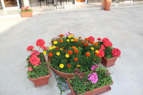 Hostal Guest House U Adama