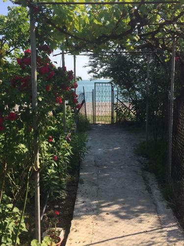 Hostal Guest House Gladiator