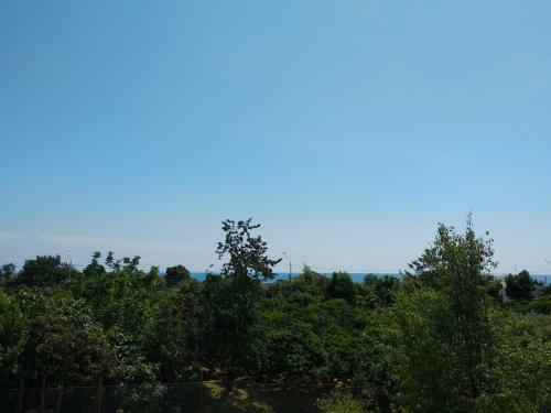 Hostal Guest House Izumrud