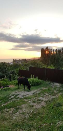 Hostal Guest House V Ghostiakh U Susanny