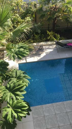 Hostal Svetlana Guest House
