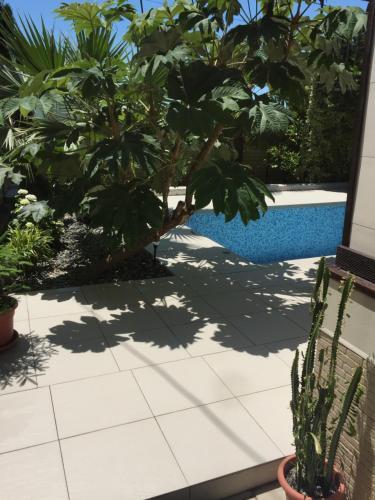 Hostal Svetlana Guest House