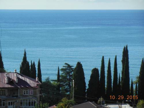 Homestay On Ardzinba 5