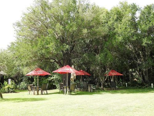Tamboti Bush Lodge