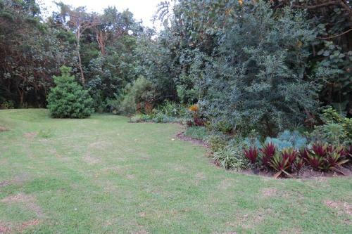 Hostal Dieu-donnee River Lodge