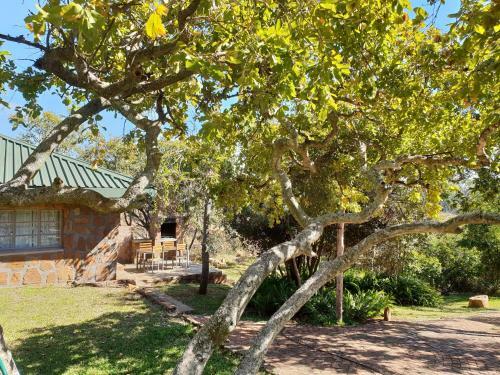 Milorho Lodge