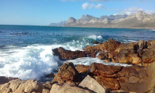 Hostal Pringle Bay Atrium